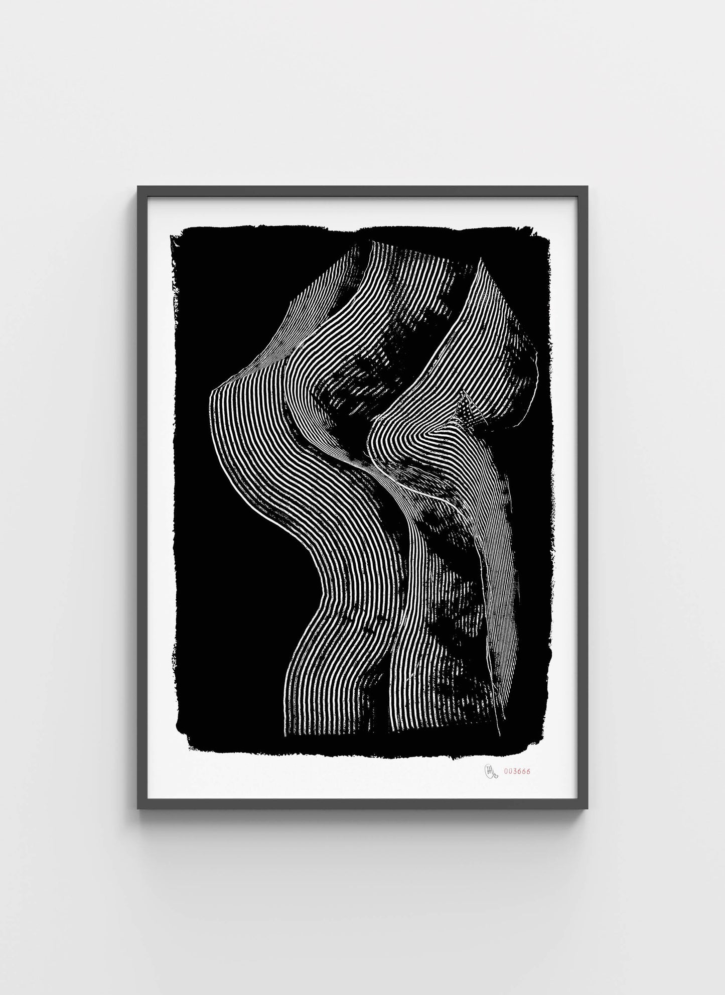 WA003666-01