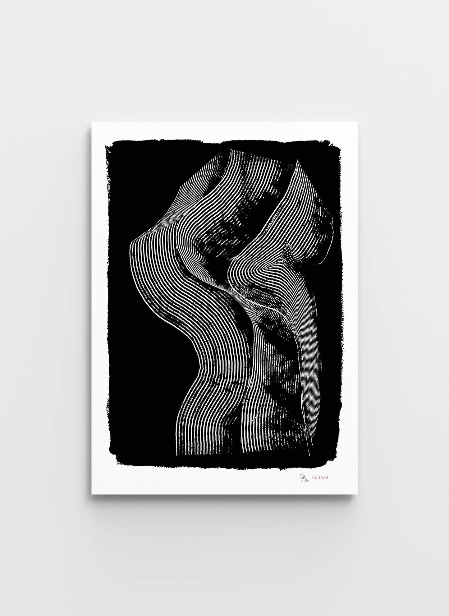 WA003666-01